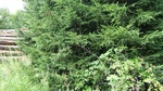 2016-07-25_03-26-58_DSCF1731.JPG