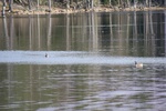 392IMG_3501.JPG