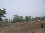 3988RIMG0292.JPG