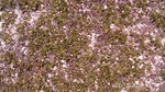 2012-09-27_14-25-41_281.JPG