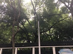 2017-09-10_06-59-58_95049AB8-98D1-40D1-AD52-817C39DAAB2C.jpg