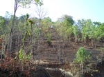 505220042008(103).JPG