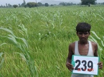 71880239b-rainfed-agriculture-mixedcrop-rice-cotton-sorghum.jpg