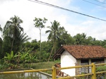 14731IMG_5119.JPG