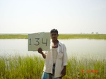 6689gt134-wetland-cropland-1.jpg
