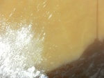 58109CIMG2403.JPG