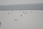 4159IMG_8796.JPG