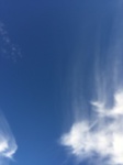 2020-11-07_06-33-37_2020-11-3-17-6-25.jpg