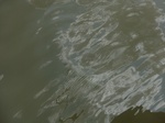 58588CIMG3038.JPG