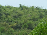 495519042008(40).JPG