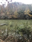 2020-11-09_11-22-29_5859C907-E7F2-49A6-866D-B903B161DF46.jpg