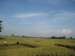 15959IMG_4510.JPG