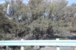 2019-10-15_14-03-12_4E8A3740.JPG