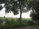 2017-09-10_07-07-19_C48F7987-C74F-4365-B84E-AF45A1732B9B.jpg