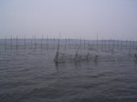 7512007-08-05_11-16-45_small.jpg