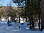 2017-02-24_11-46-00_Feb17-048-VT.jpg