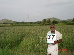 6200037a-irrigated-supplemental-groundwater-sugarcane-millet-sorgum-doublecrop.jpg