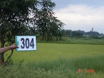 74040304b-irrigated-supplemental-tank-rice-doublecrop-wheat.jpg