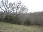 2017-02-22_17-02-29_Feb17-025-TN.jpg