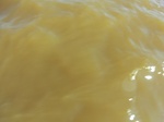 2012-09-21_14-25-55_CIMG0083.JPG