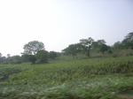 4046RIMG0350.JPG