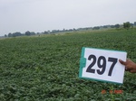 73790297a-rainfed-irrigated-supplemental-soyabean-dominant-rice-doublecrop-wheat.jpg