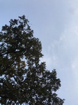 2020-10-02_07-37-43_2020-10-2-7-36-7.jpg