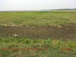 39109CIMG4822.gps.jpg