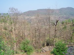 505320042008(104).JPG