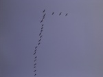 2887 052.jpg