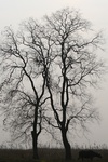 4222IMG_8860.JPG