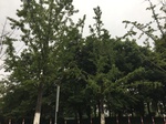 2017-09-10_06-24-57_2B32E598-B30A-413B-877B-DA4E07B99E8E.jpg