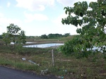 5761100_1355.JPG