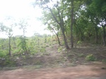 4041RIMG0345.JPG