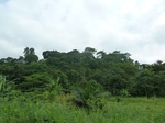 20423P1020280.JPG