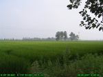 1206R0015052_tag.jpg