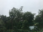 2017-09-11_22-15-05_E6B448EF-2699-4F13-A033-334B3855EA04.jpg