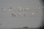 4227IMG_8866.JPG