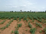 18856P1000697.JPG
