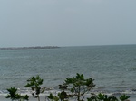 1714119042008(56).JPG