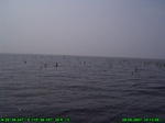 1490R0015194_tag.jpg