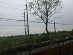 2017-09-10_20-41-54_3AA850A1-39E4-4673-94DA-762B4E17C85B.jpg