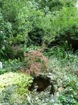2012-09-15_11-51-45_NJ-SS-7-2.JPG