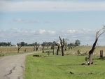 39736DSC01044.JPG