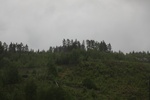 2018-04-14_14-18-40_2017-06-12 05.33.26.jpg