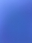 2020-11-11_11-46-55_2020-11-11-9-6-50.jpg