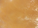2012-09-21_14-25-34_CIMG0161.JPG
