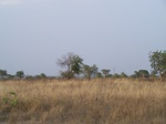533601052008(31).JPG