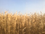 2018-01-08_09-59-17_9E4751BE-D9F3-4B3E-B27F-93C2FD051FFF.jpg