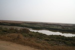 4515IMG_8742.JPG